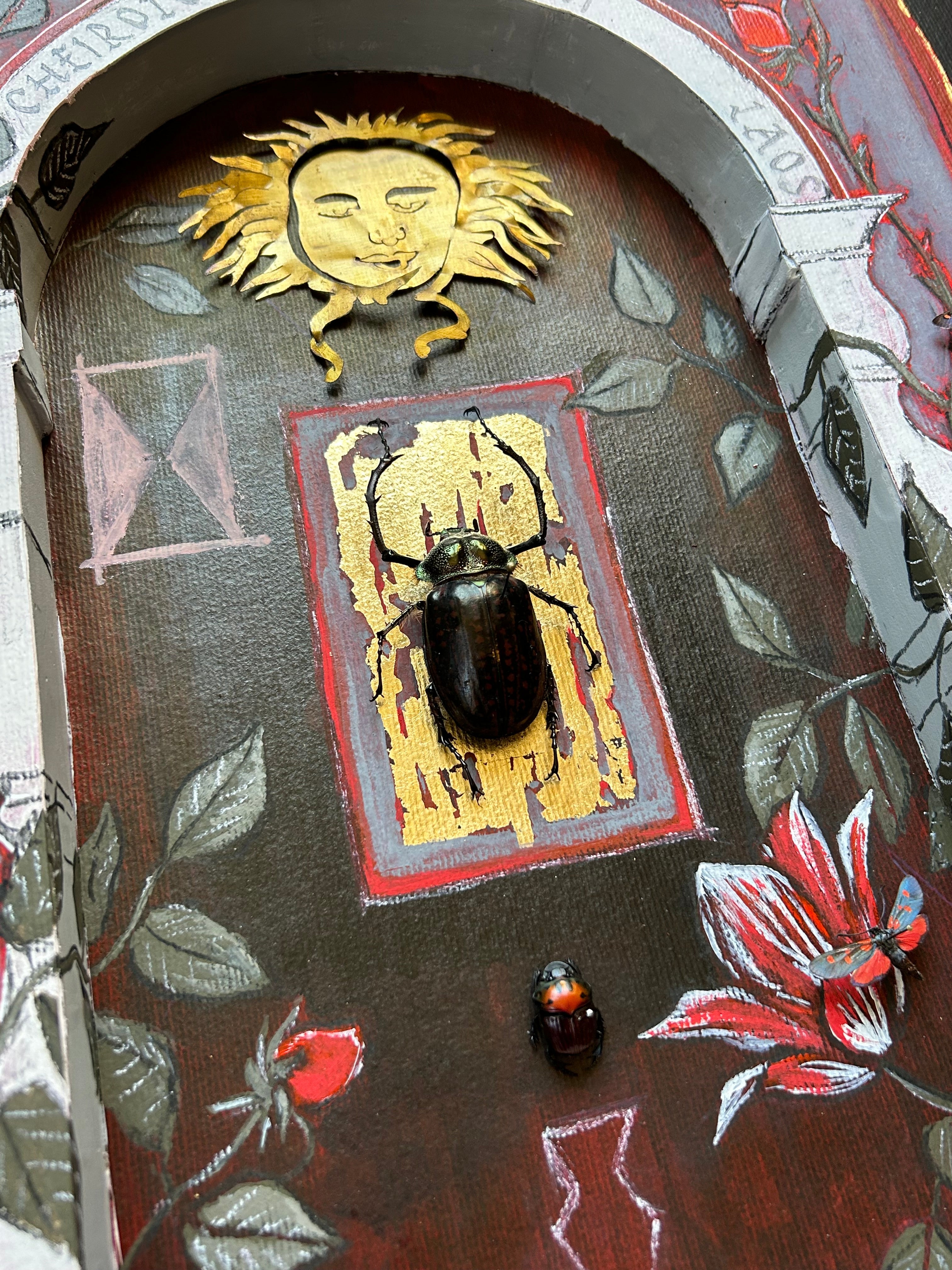 Collection " Nature morte "