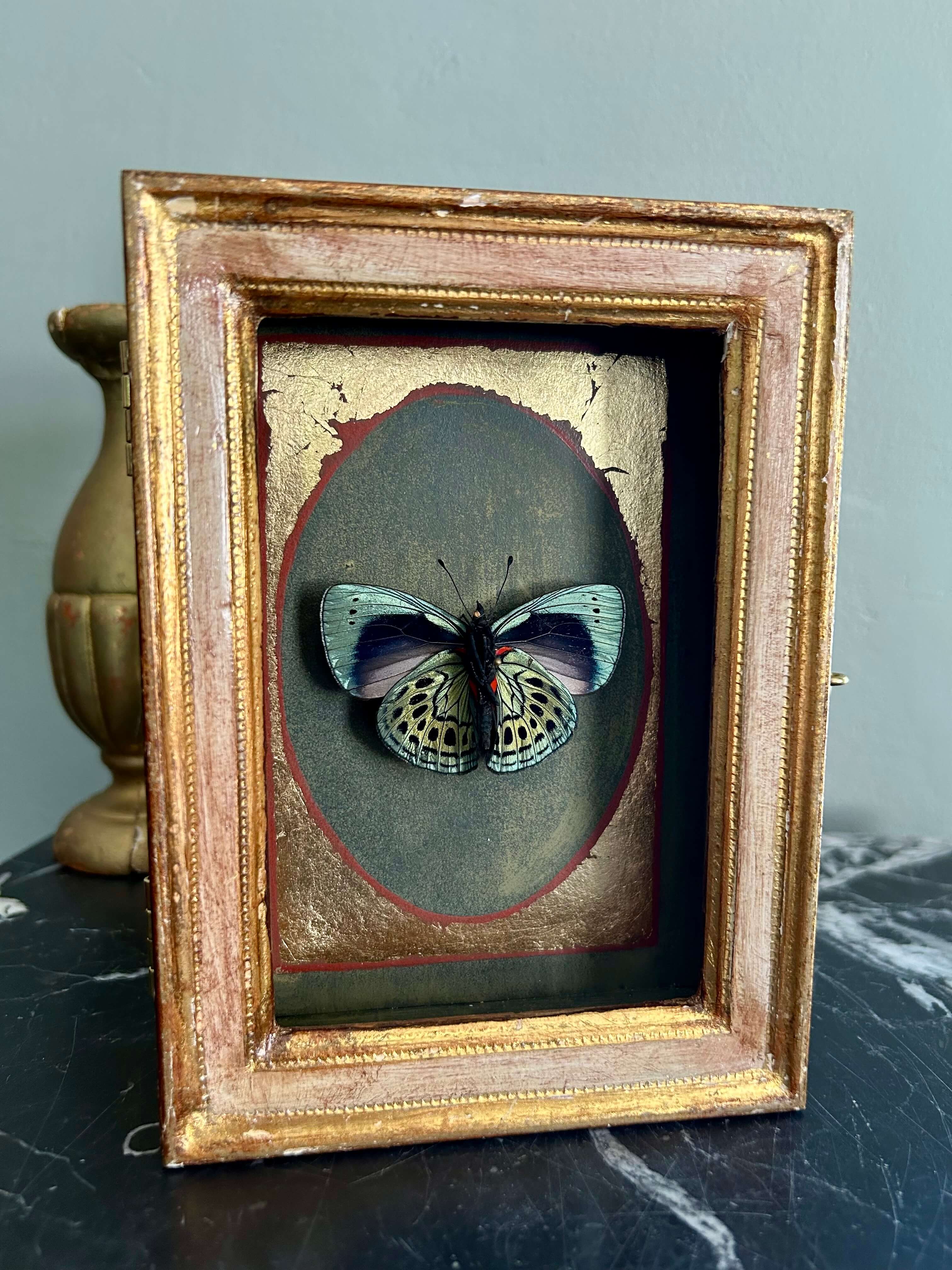 "Symbolum"